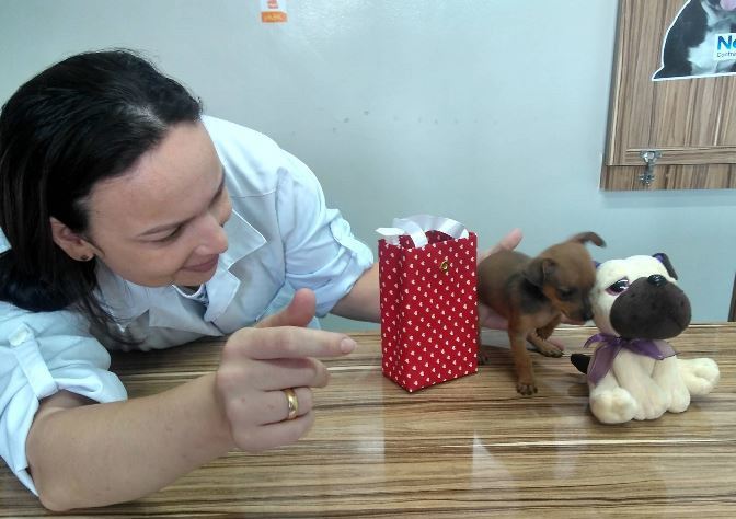 Dra. Gláucia atendendo com carinho