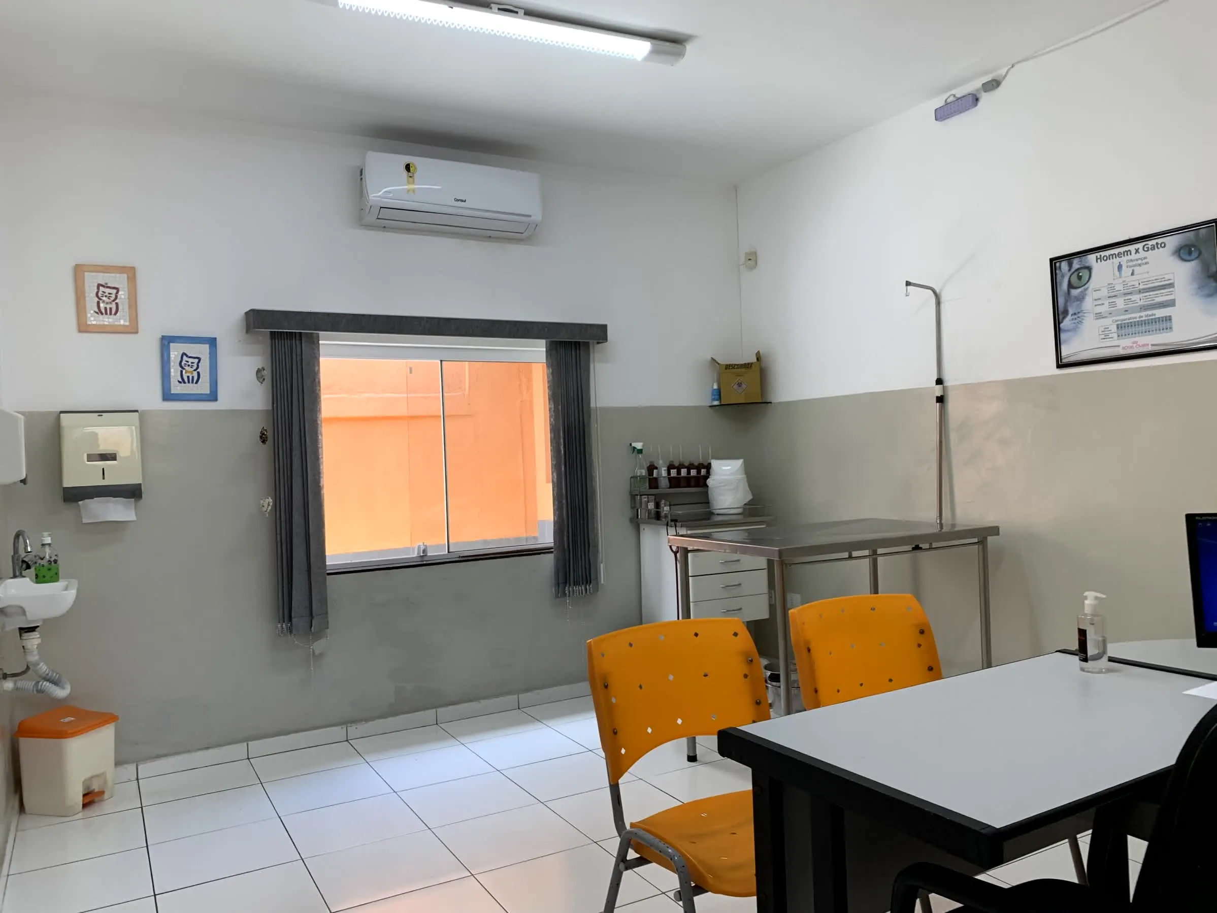 Consultório moderno e equipado da Agro Curió Clínica Veterinária em São José dos Campos