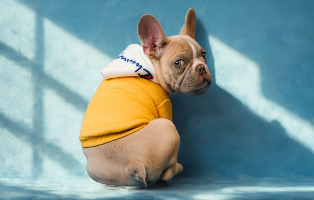 Check-up Geriátrico