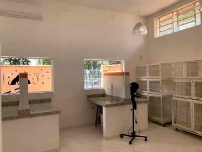 Área Higiene e Cuidados Pet Agro Curió São José dos Campos