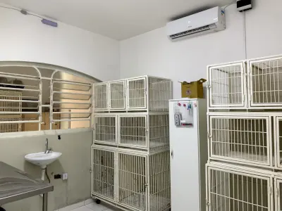 Internação Climatizada Pet Clínica Veterinária Agro Curió SJC