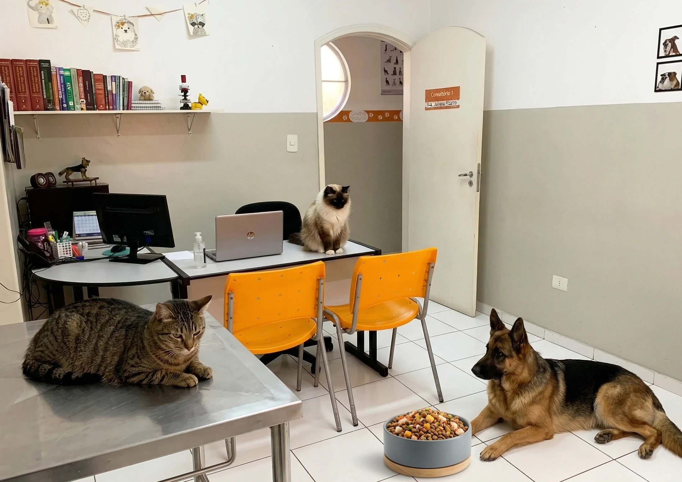 Mesa de atendimento na clínica veterinária Agro Curió com carteirinha de vacinação e estetoscópio para reforço imunológico no outono