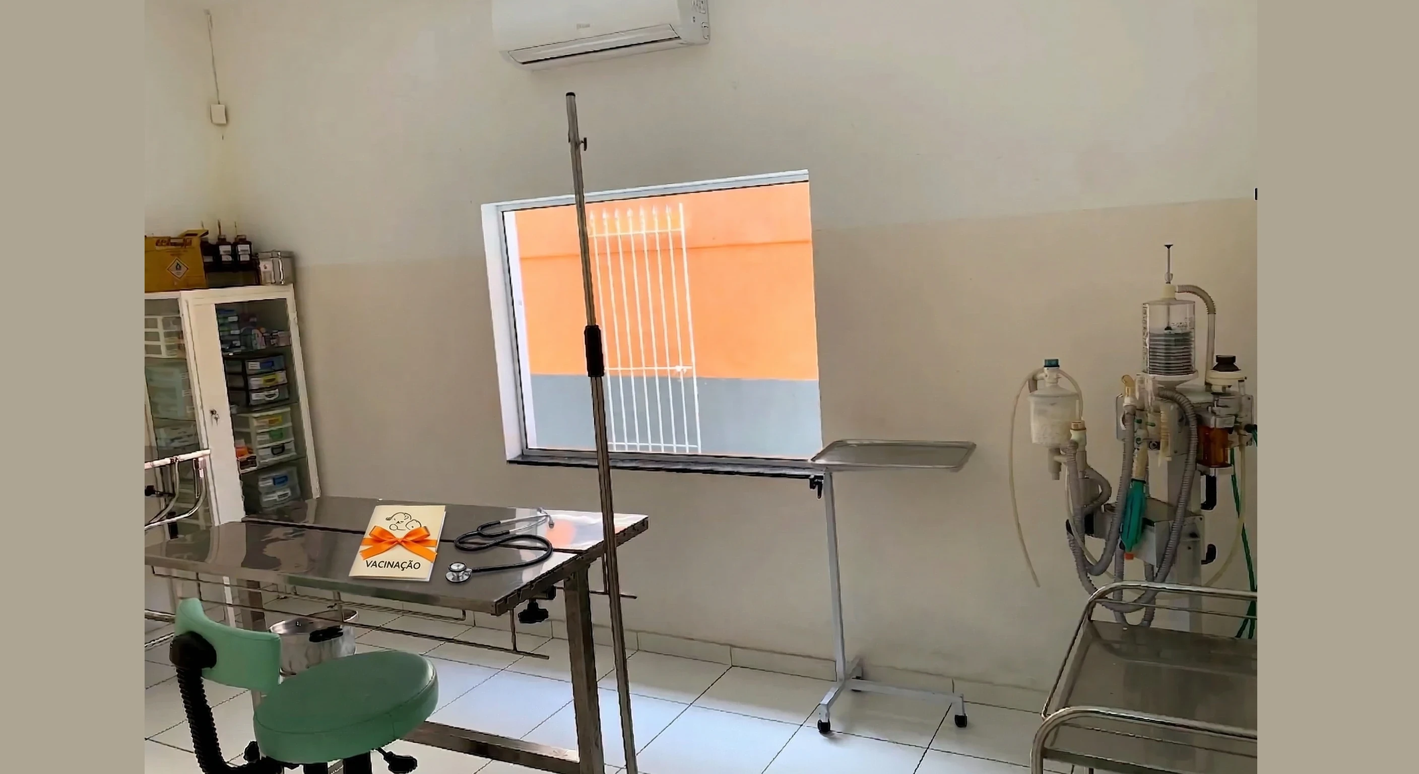 Mesa de atendimento veterinário com estetoscópio e carteirinha de vacinação com laço laranja